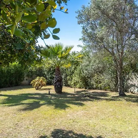 Superb Nature -panoramic Sea View & Jacuzzi- * Olbia